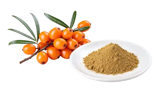 Sea buckthorn extract