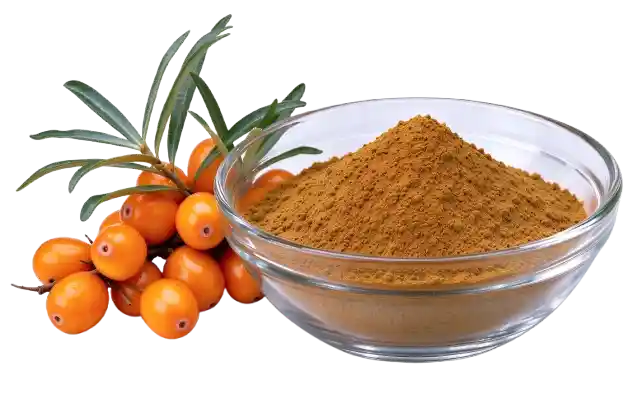 Sea buckthorn fruit extract spray‑dried powder, natural food supplement raw material